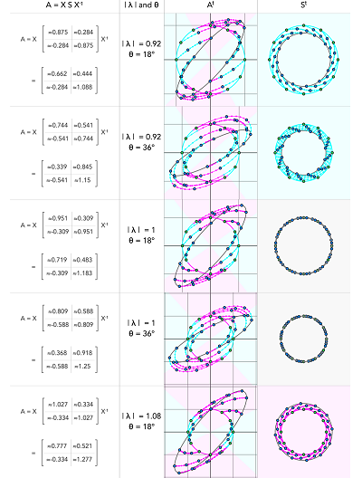 Thumbnail of matrix-power orbits for 2D matrices with complex eigenvalues